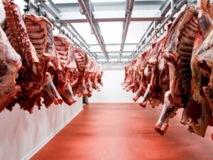 Carne vacuna