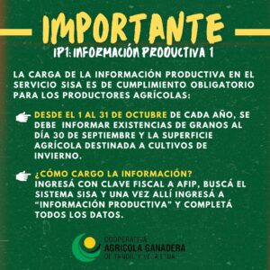 Información productiva